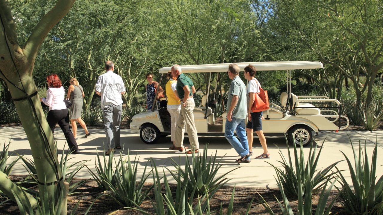 A group of people walking alongside a golf cart on a pathway bordered by agave plants in a sunny park setting.