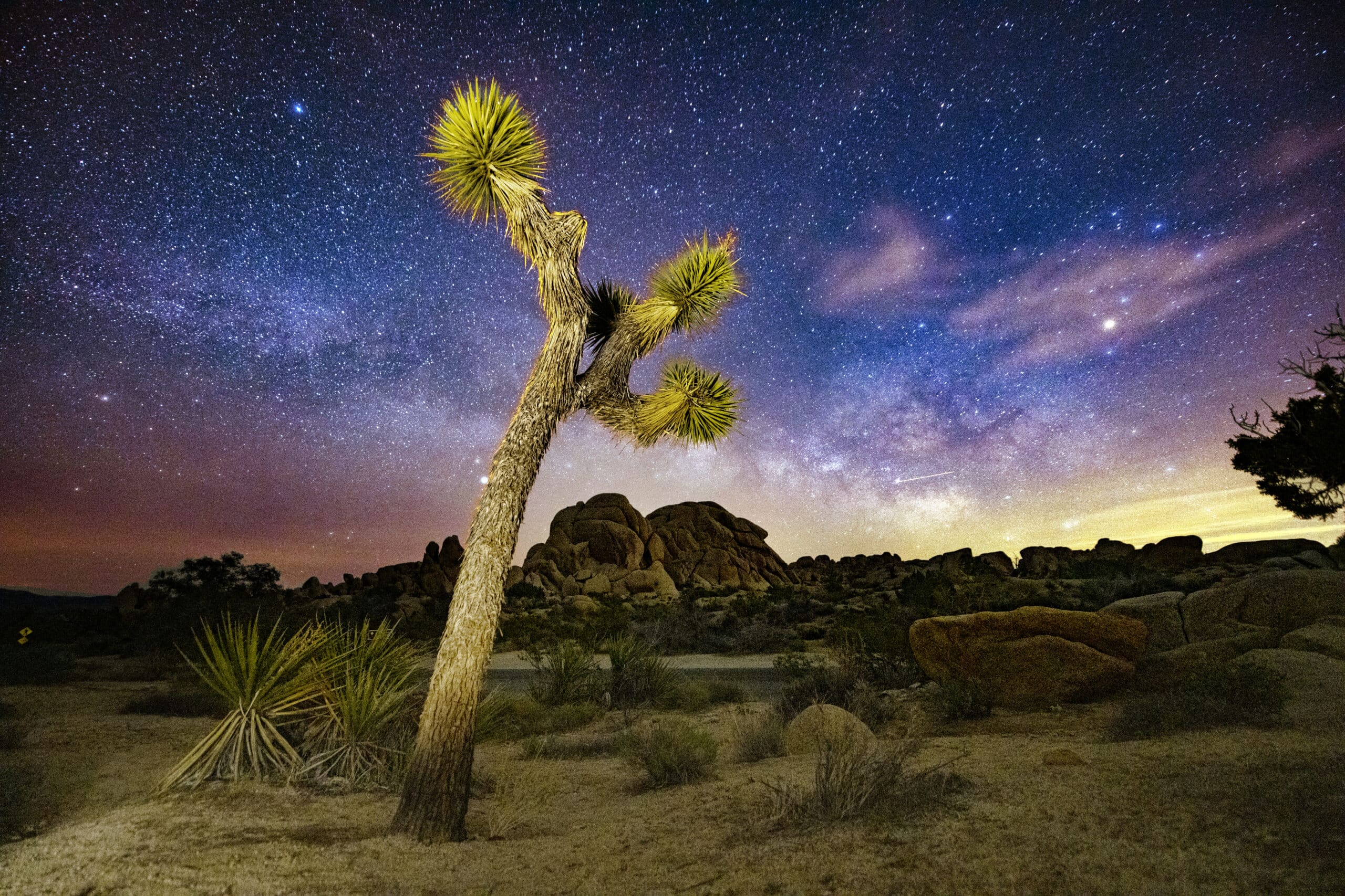 This is a long exposure at night with the Milky Way in the background during spring time in Joshua Tree National Park in California
