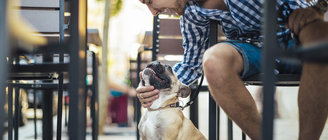 Young man in the city with his french bulldog