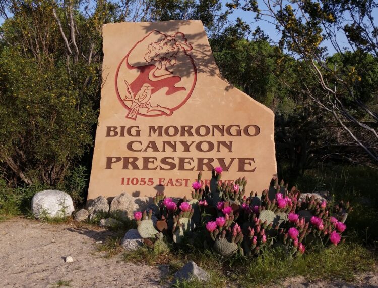 big Morongo preserve sign