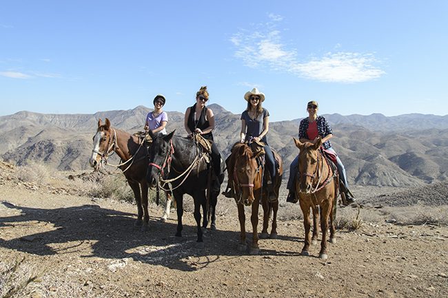 group riding horseback