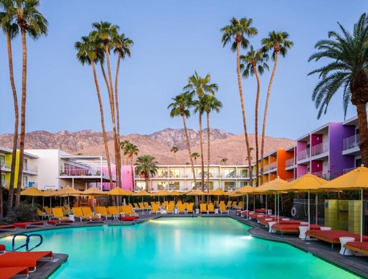 The Saguaro Palm Springs pool and palm trees