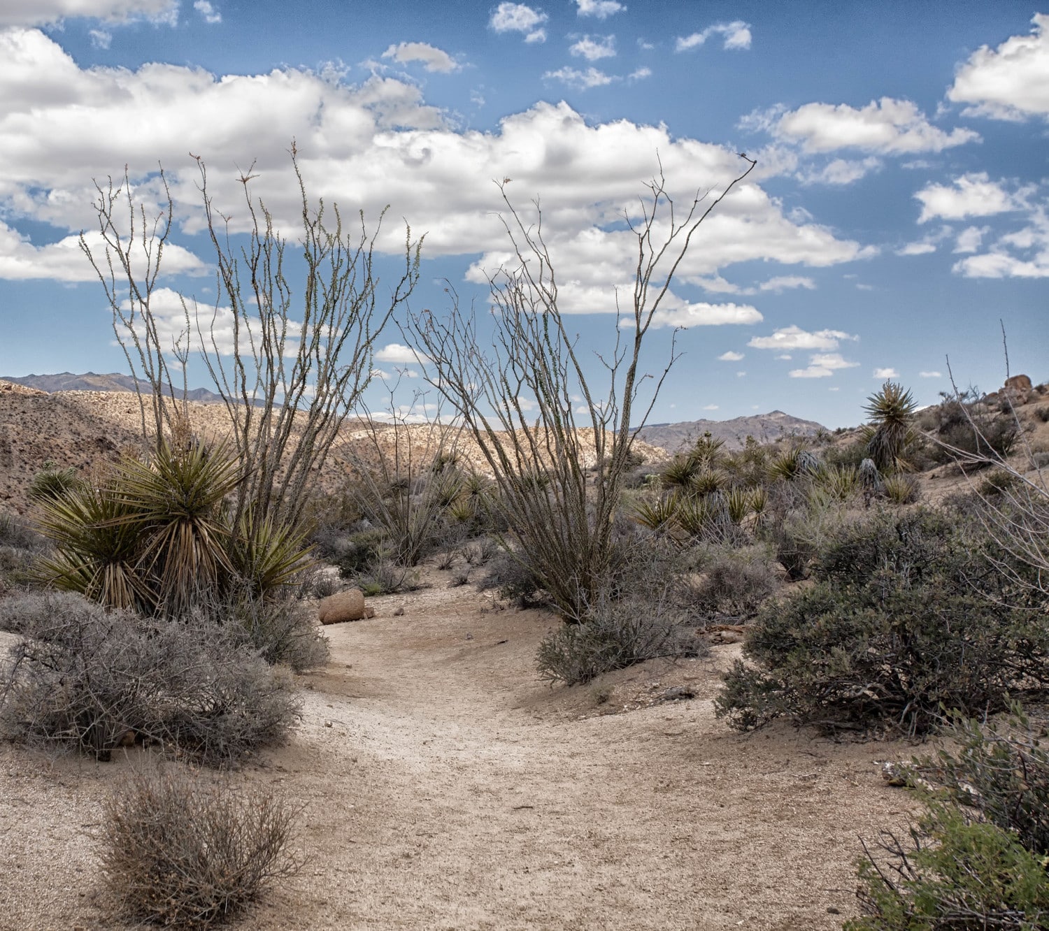 Stephen Baumbach Photography desert