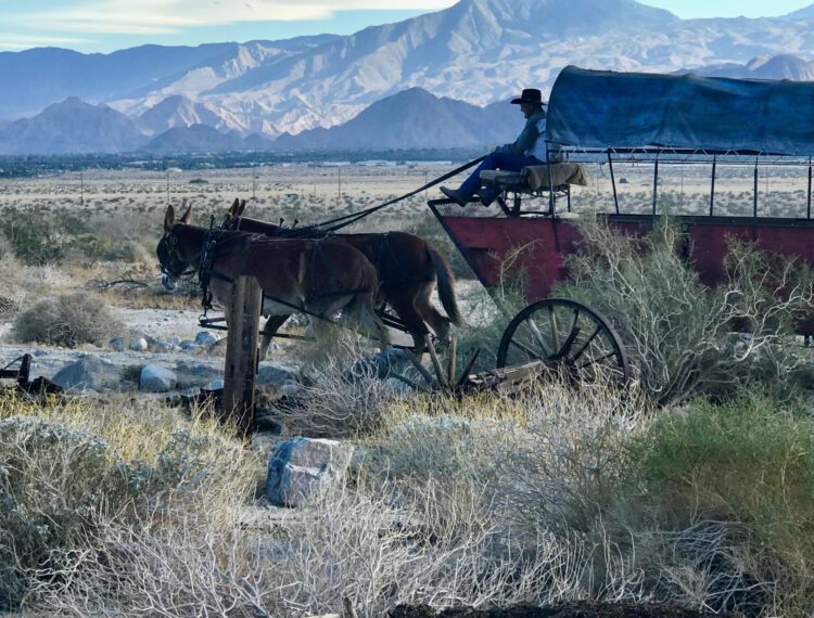 covered wagon with horse