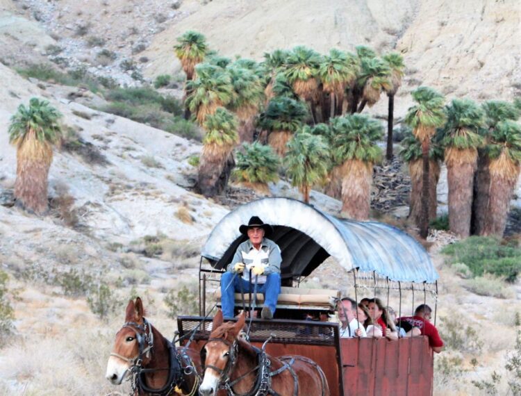 people on covered wagon tour