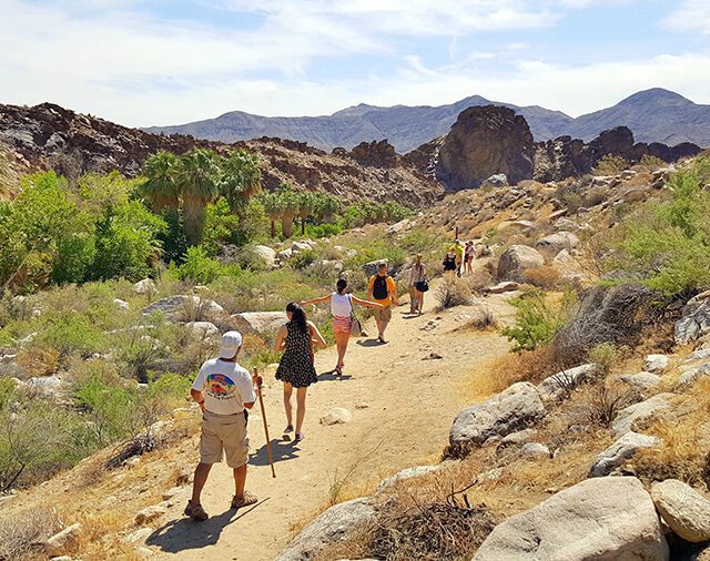 hiking in Indian Canyons Palm Springs