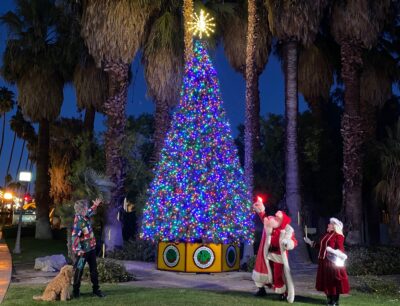 Palm Springs Tree Lighting
