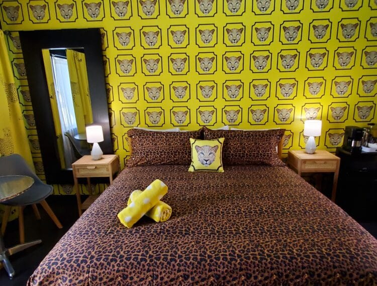 Cheetah Hotel room