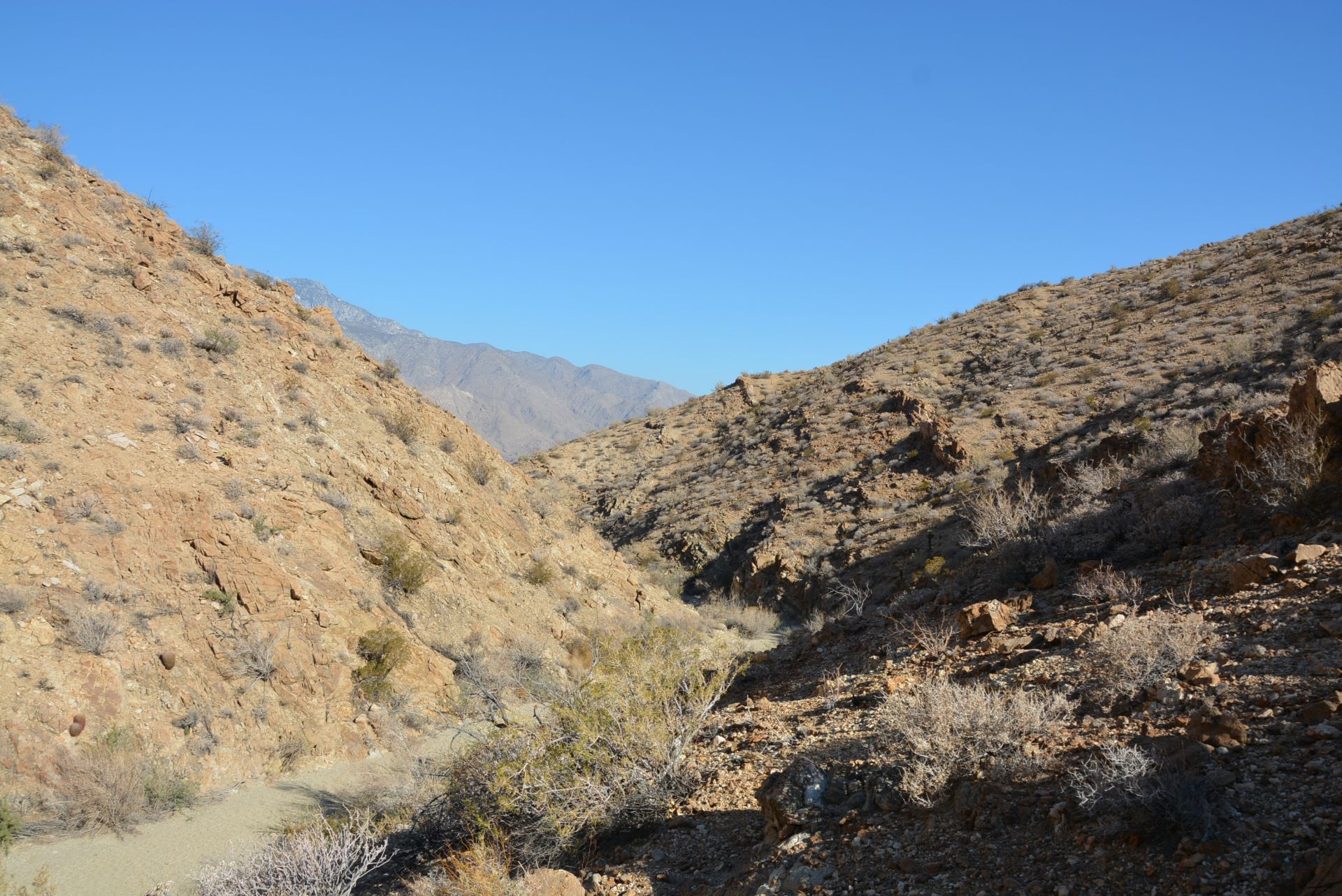 east fork trail palm canyon