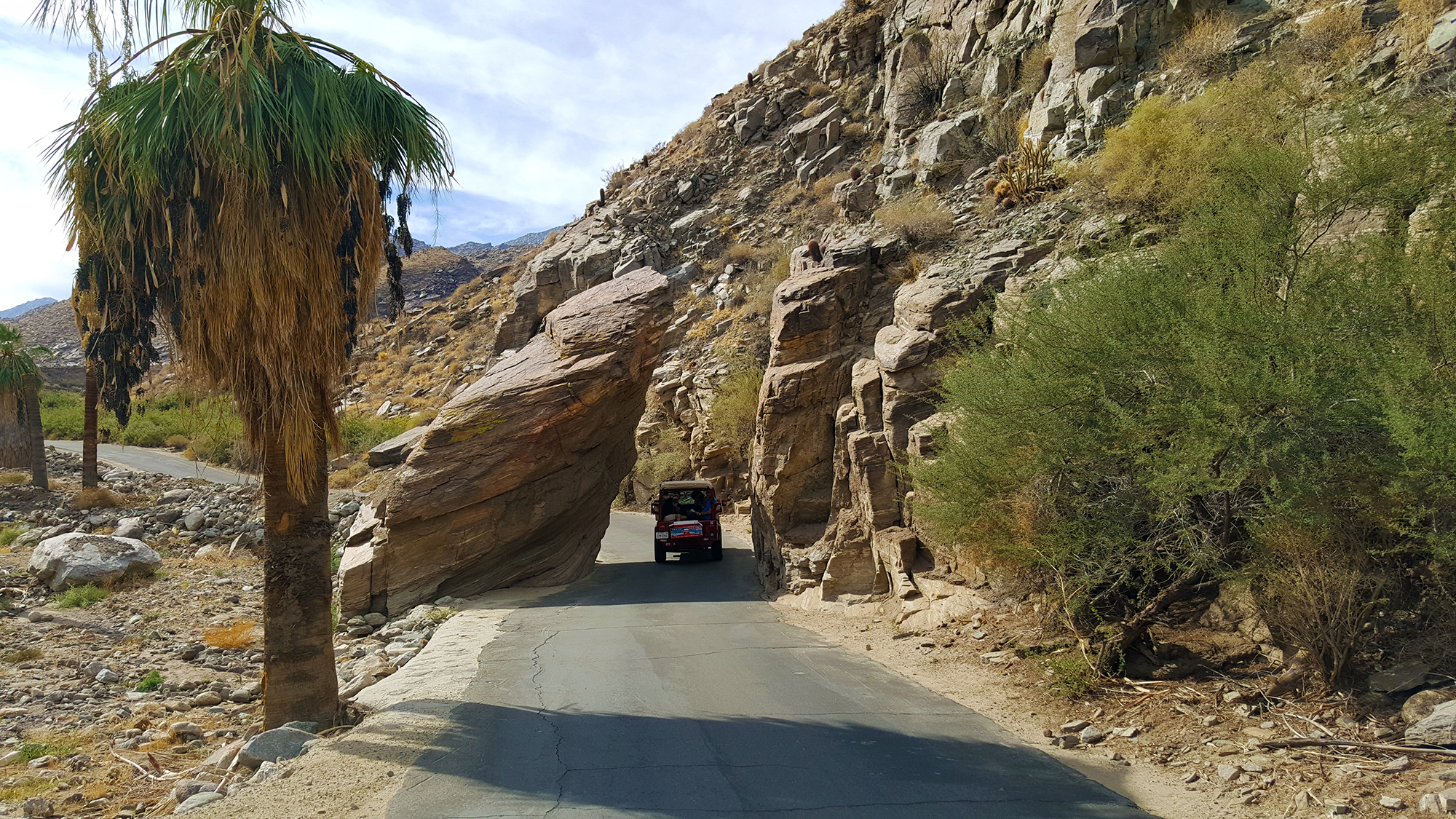 Palm canyon entrance