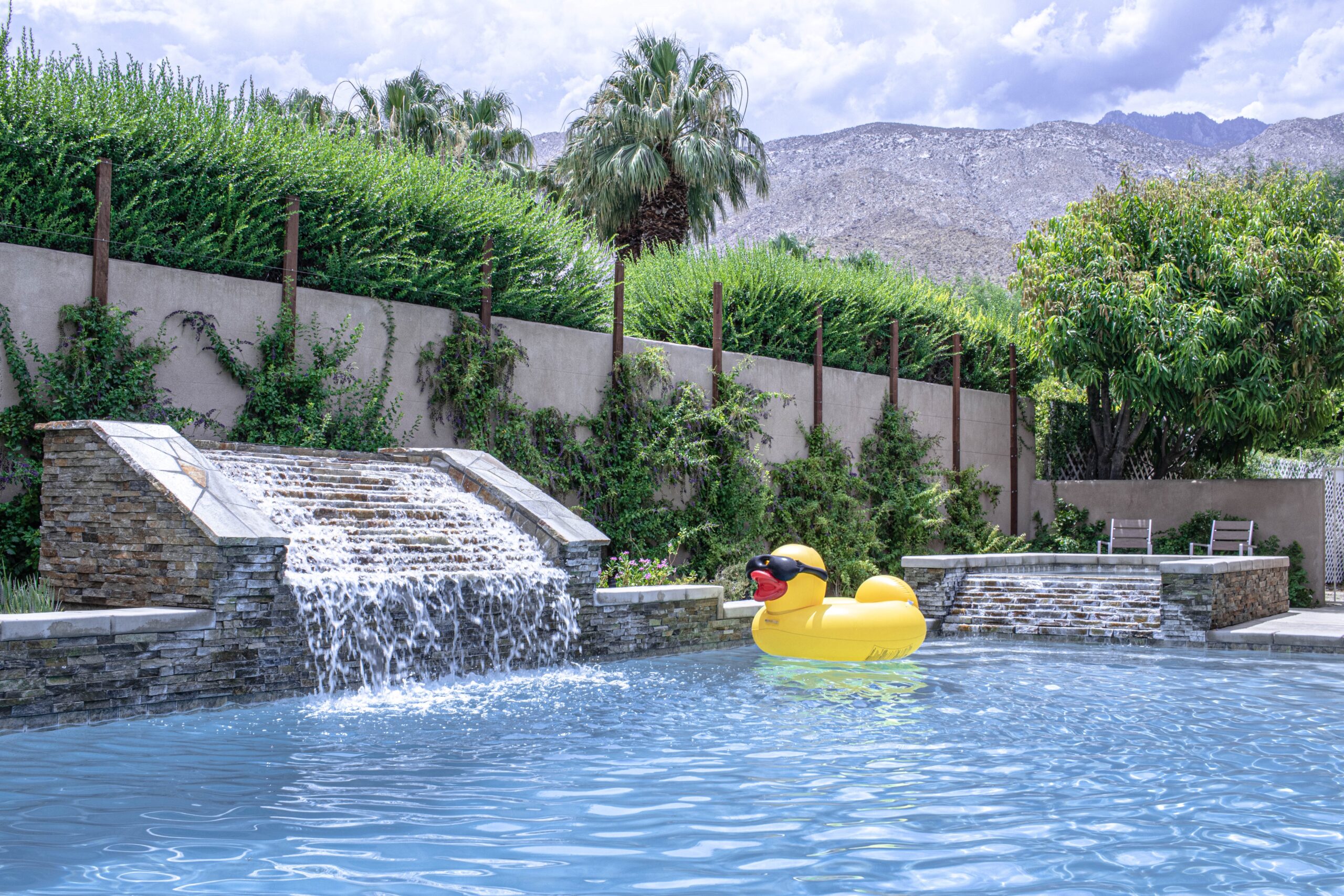 pool with duck float