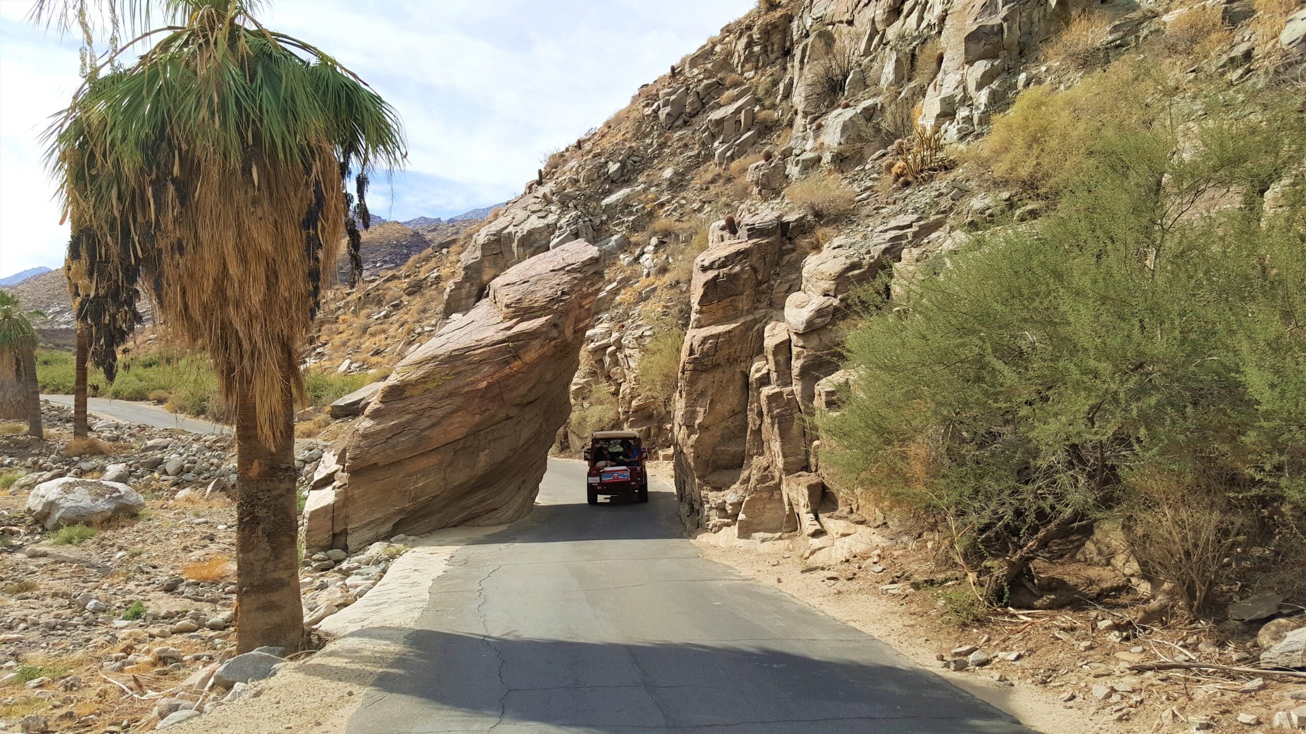 desert adventures red jeep tours