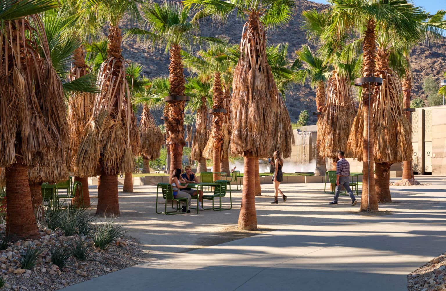 Palm-Springs-Downtown-Park_Millicent-Harvey_palms-walkway-and-shade-crop