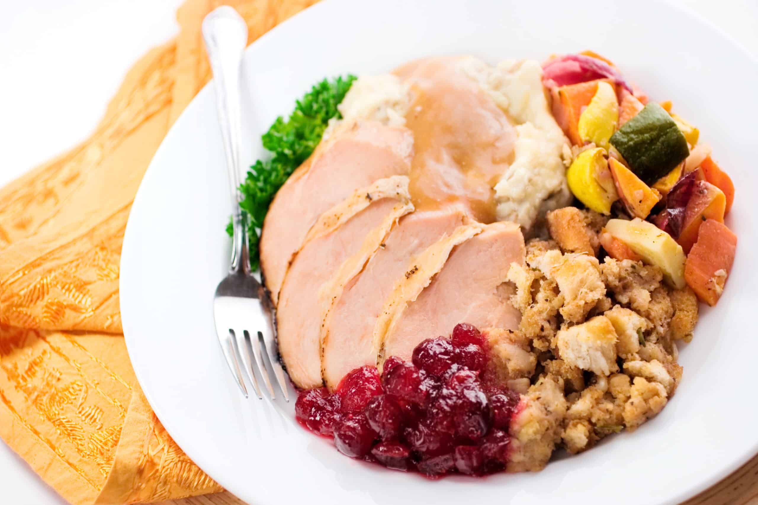 A plate heaped with a plentiful helping of a traditional turkey dinner with cranberries, stuffing, roasted vegetables, mashed potatoes and gravy. Shallow dof.