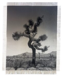 “Karma Tree” series #1 photographed by Fernando Bengoechea and woven by Marcelo Bengoechea. 