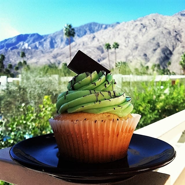 andes cupcake
