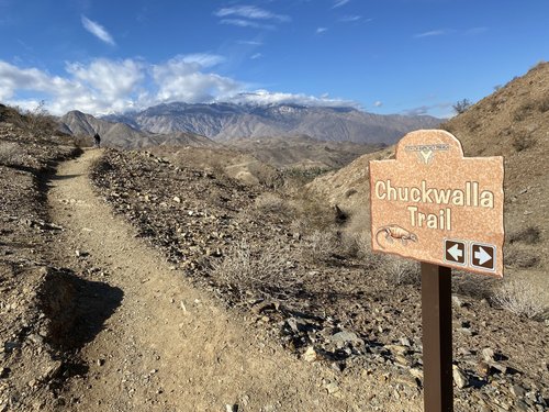 Interpretative Guided Hike, Chuckwalla Trail