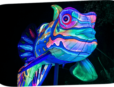 glow_in_the_park_fish.500x0-is