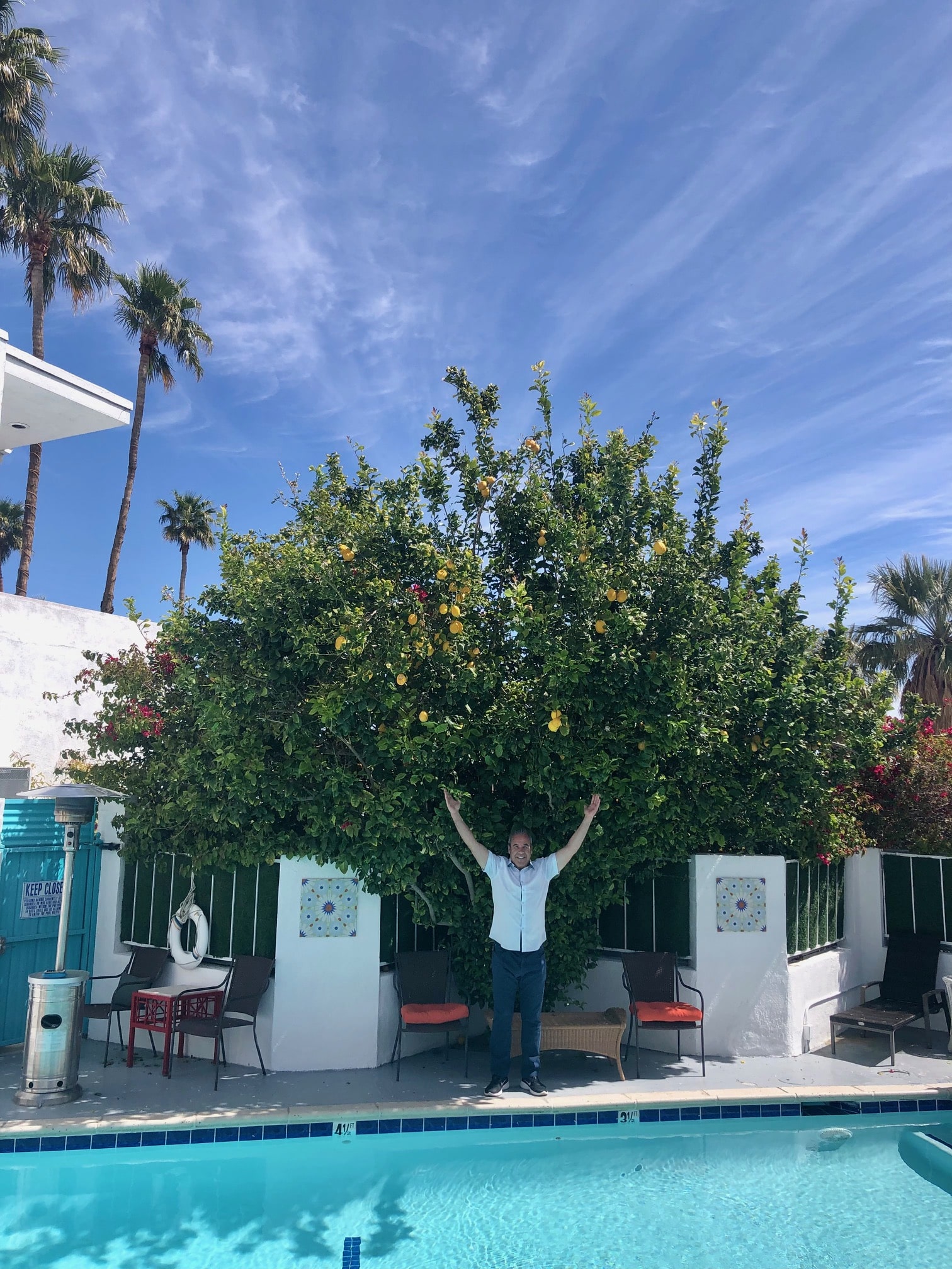 Paul and Lucky lemon tree and Inn at Palm Springs
