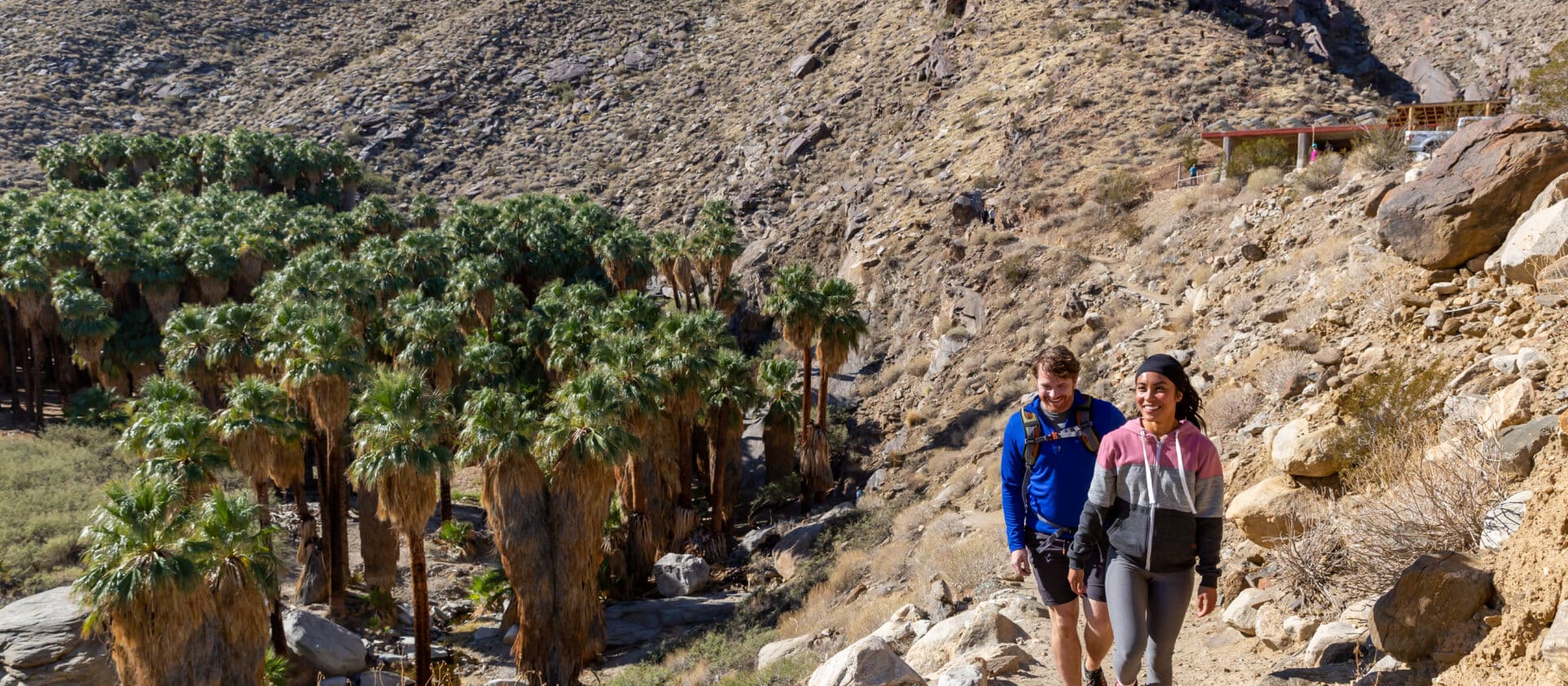 Hiking in Palm Springs and Indian Canyons