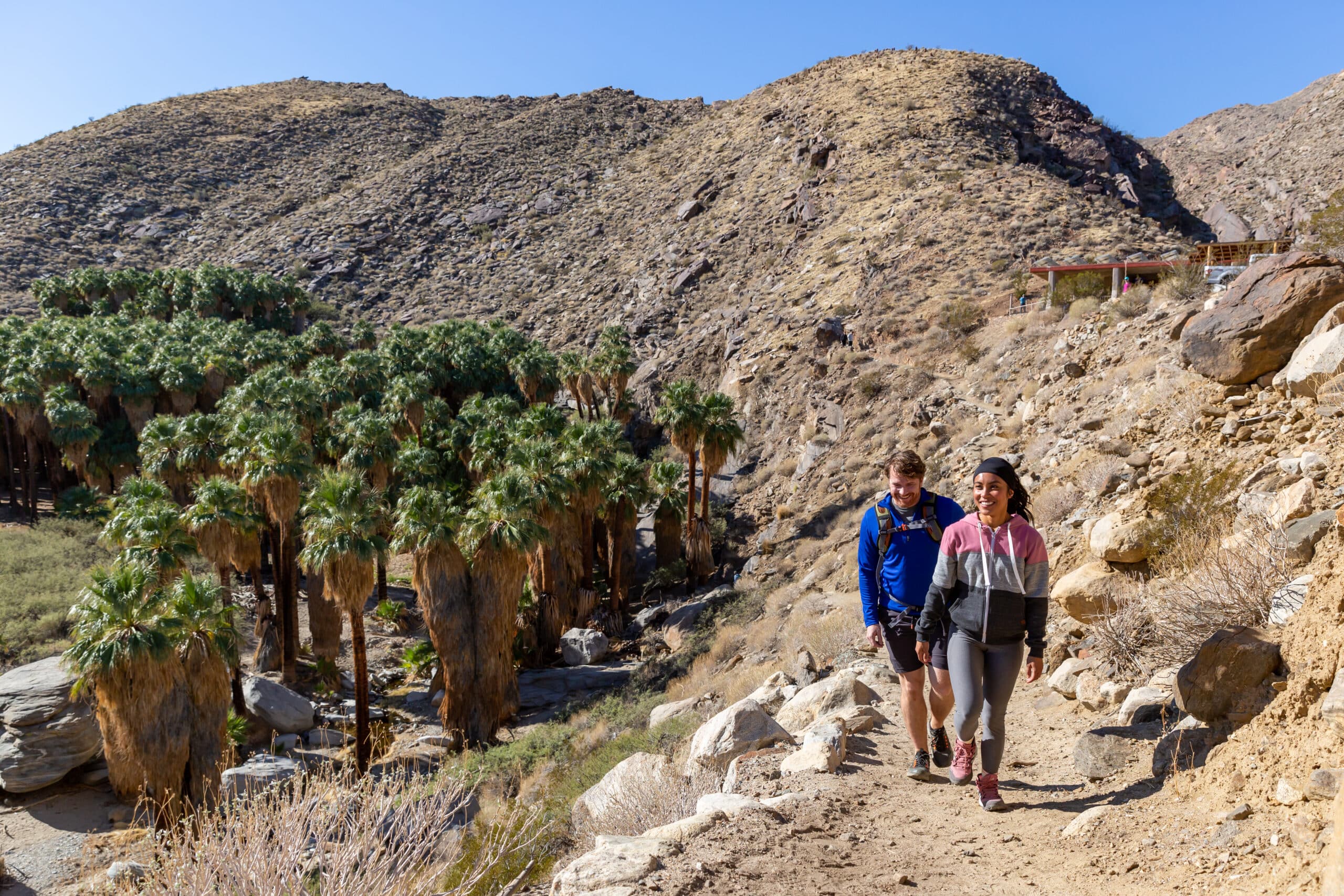 Hiking in Palm Springs and Indian Canyons