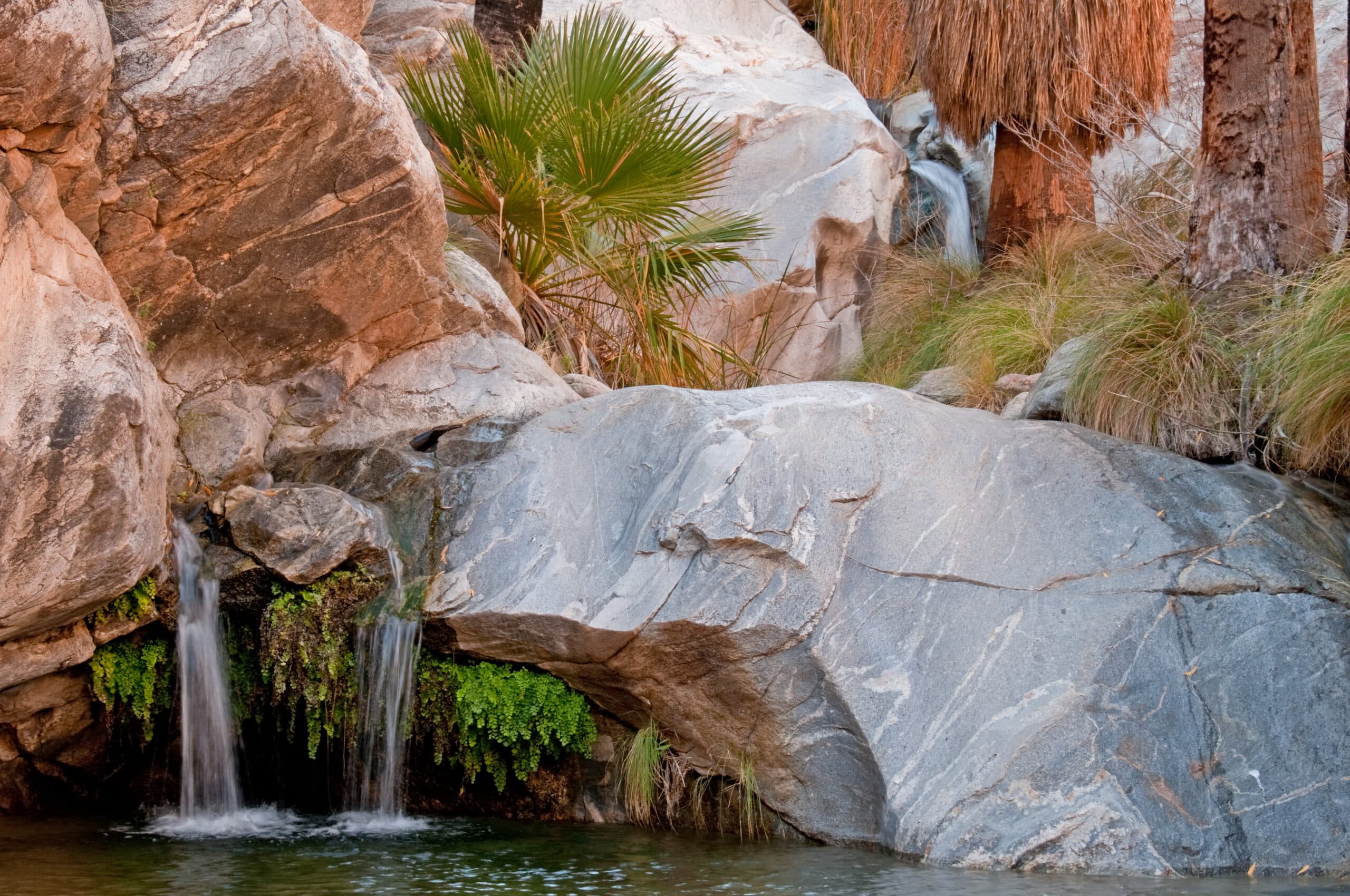 The waterfalls at the end of the Murray Canyon hike in the Indian Canyons preserve near Palm Springs, California.