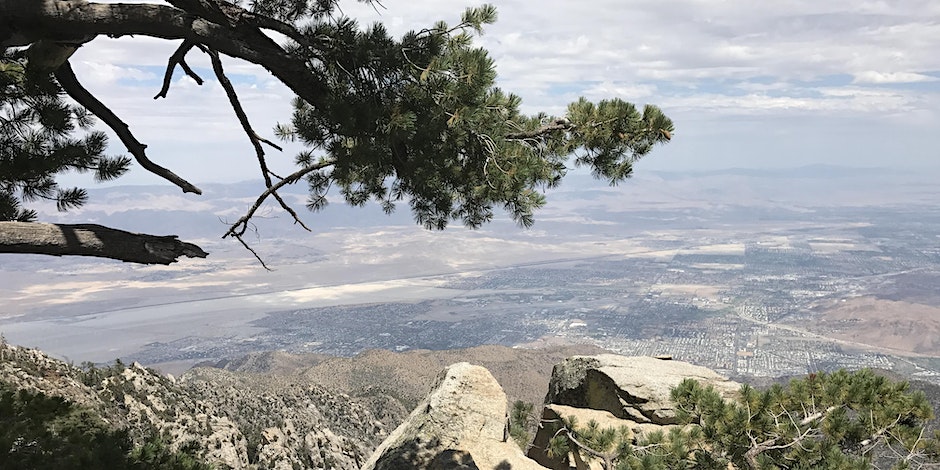 Desert View Discovery Hike