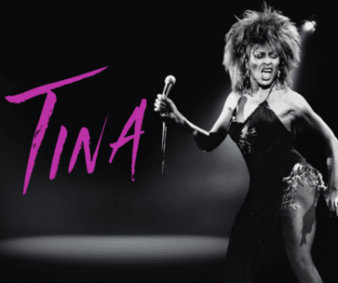 Tina Turner tribute dinner