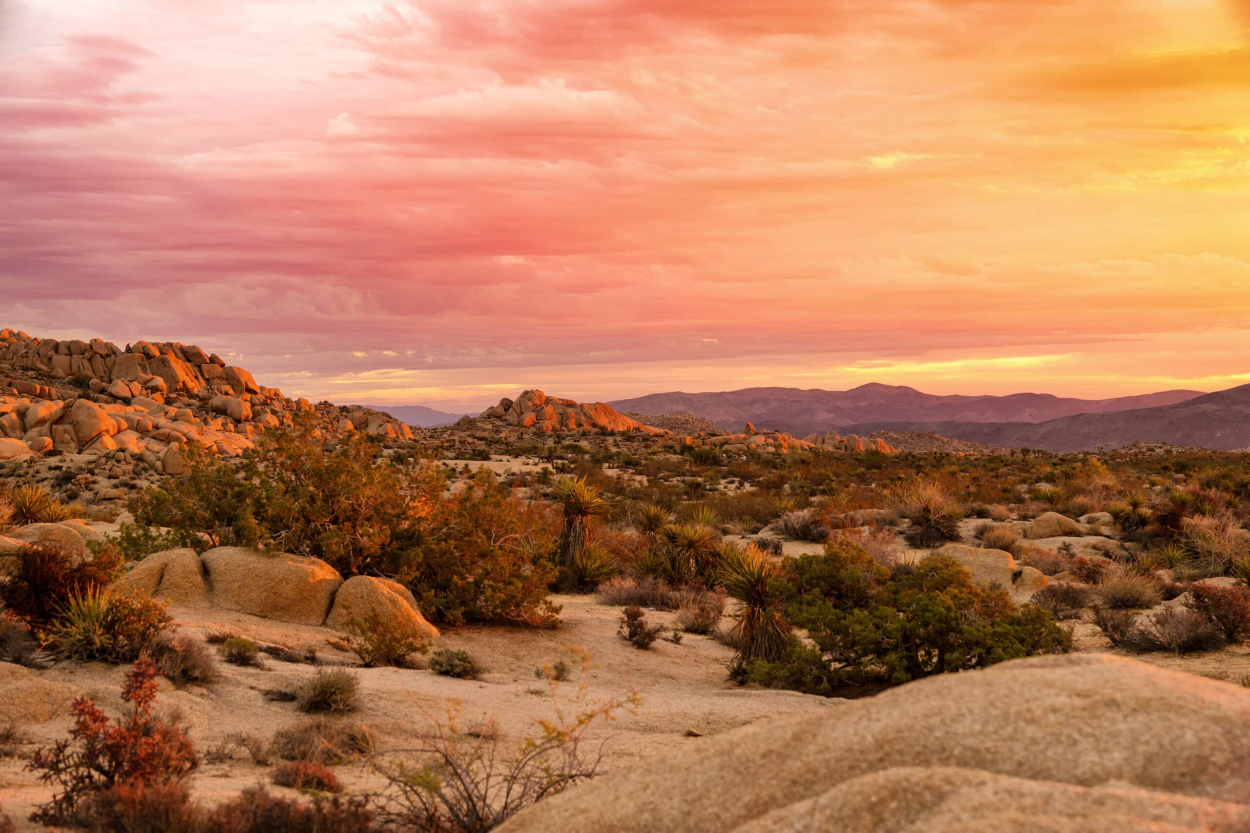A desert landscape at sunset with vibrant pink and orange clouds in the sky, rocky formations, and scattered vegetation including shrubs and yucca plants.