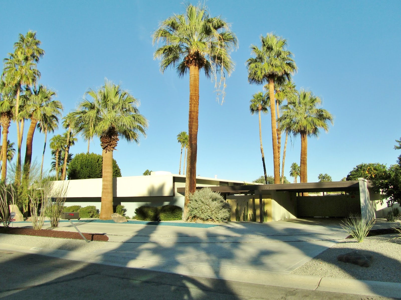 A modern single-story building with a flat roof surrounded by tall palm trees under a clear blue sky. The landscaped front yard features gravel, shrubs, and cacti. Shadows from the palm trees are cast on the ground in the foreground.