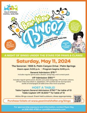 An event flyer for "Bow Wow Bingo," a benefit for Palm Springs Animal Shelter featuring cartoon illustrations of dogs and cats, details of the event on May 11, 2024, including location, times, and ticket prices for general and VIP admissions. A photo of the event host, Ethylina Canne, dressed in drag, and a link to purchase tickets with a QR code is included. The flyer highlights the chance to win over $2,400 in cash and prizes.