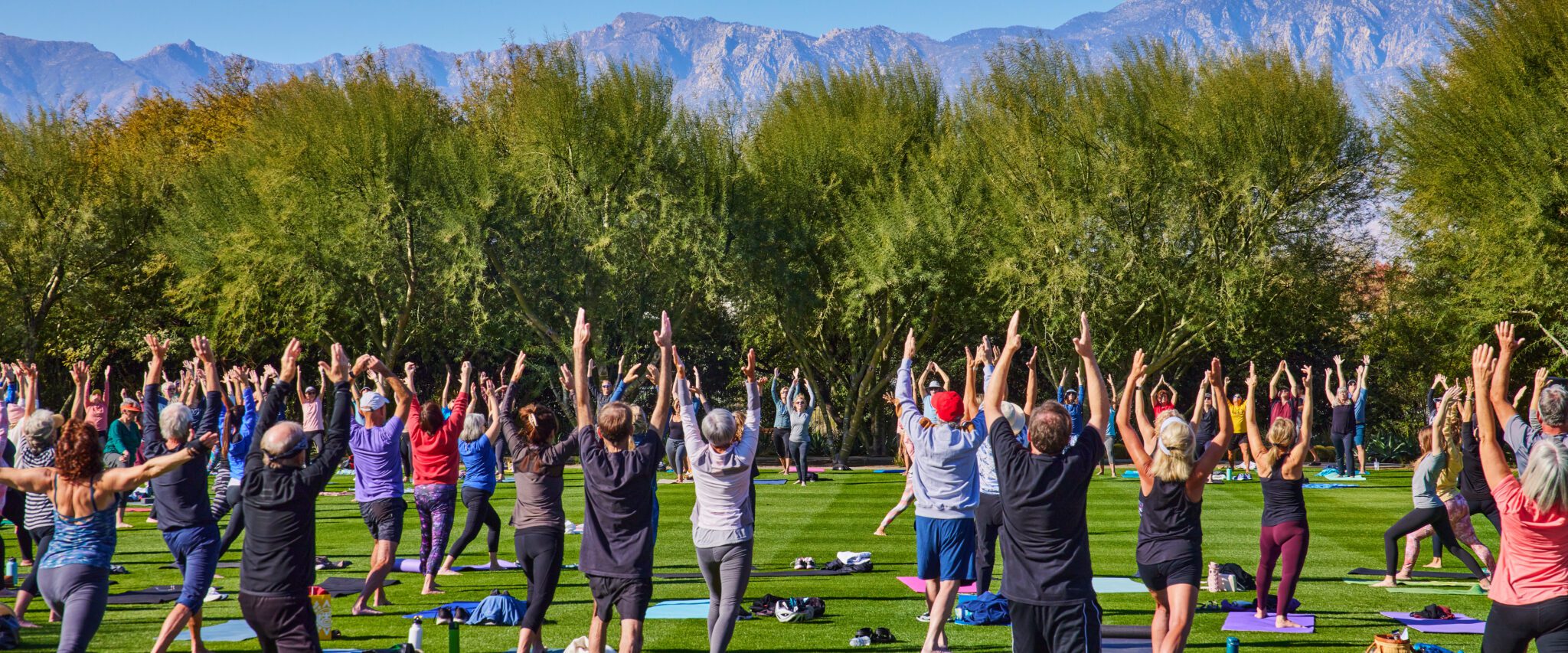 A large group of people of various ages engaged in an outdoor yoga class on a sunny day with mountains in the background and trees in the foreground.